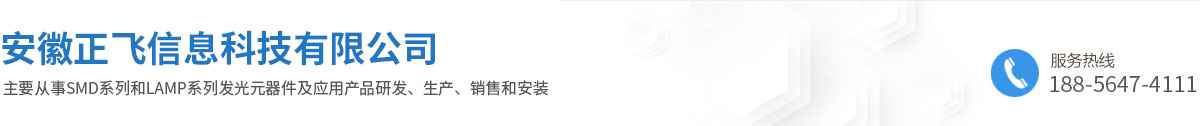 安徽正飞信息科技有限公司